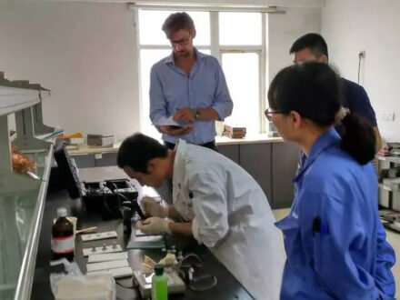 best waterproof material manufacturer from china