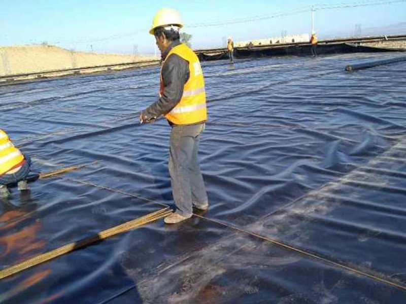 waterproof membrane price